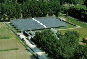 Impianto fotovoltaico da 300 kWp su serra in vendita in Lombardia